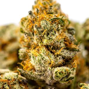 Concentrates
